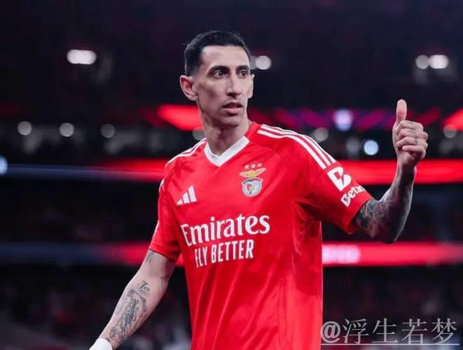 意甲再陷赌球风波:12人名单出炉,迪马利亚帕雷德斯上榜 意甲再陷赌球风波:12人名单出炉,迪马利亚帕雷德斯上榜